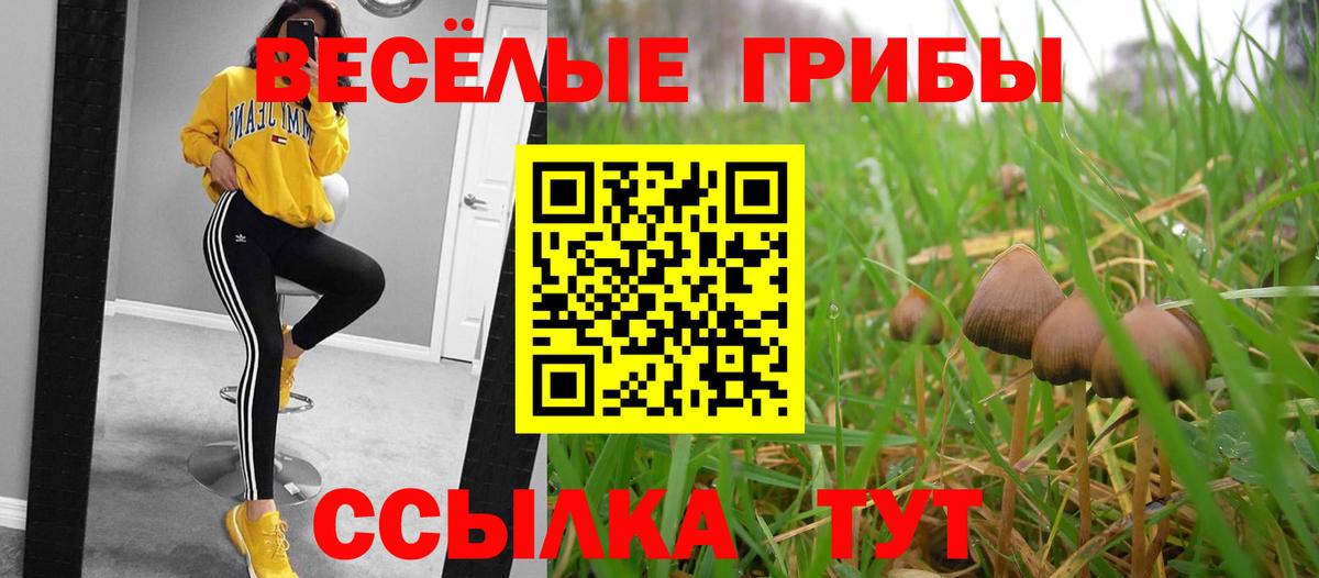 Пыть-Ях  Галлюциногенные грибы ЛСД  Вход с VPN 